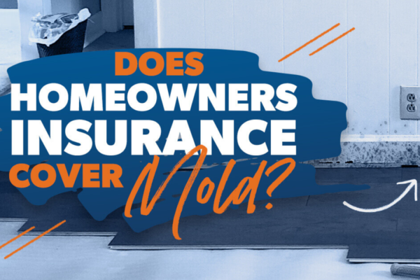 does-home-insurance-cover-mold