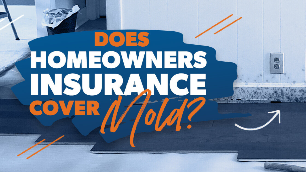 does-home-insurance-cover-mold